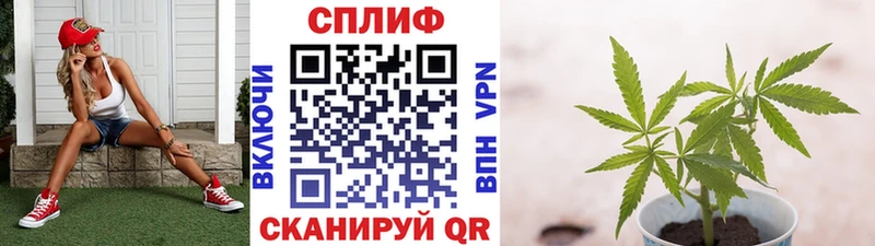 Бошки Шишки MAZAR  блэк спрут маркетплейс  Тавда  дарнет шоп 